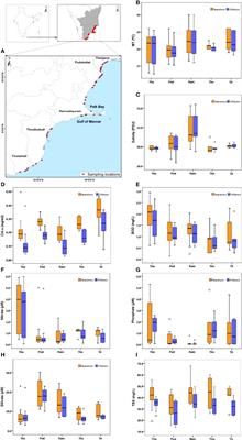 Investigation of Coastal Water Characteristics Along the Southeast Coast of India: A Multivariate Approach